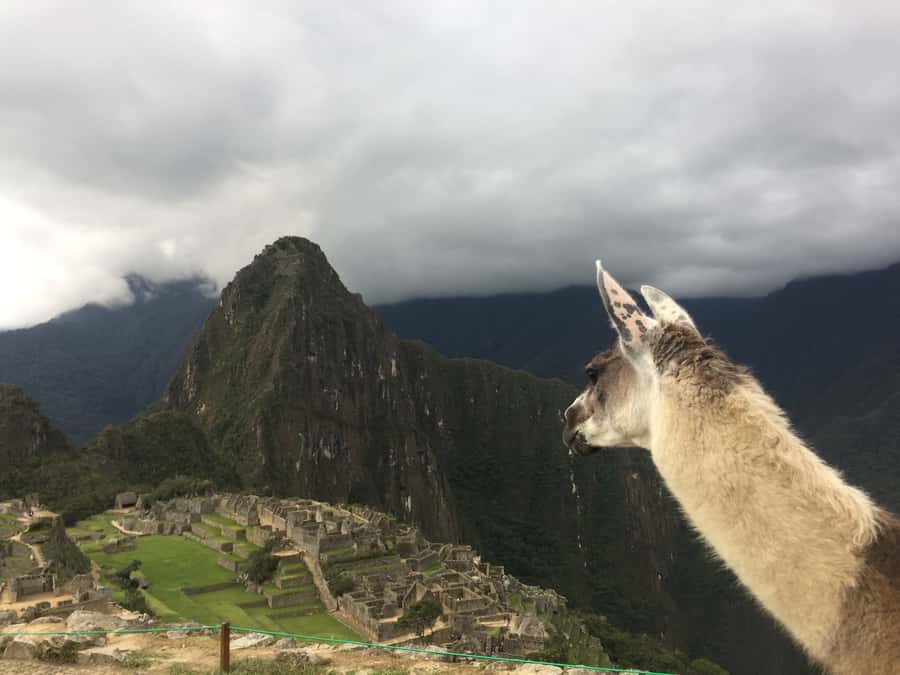 Machu Picchu: Private Tour Guide Service - What to pack for Machu Picchu’s weather and crowds