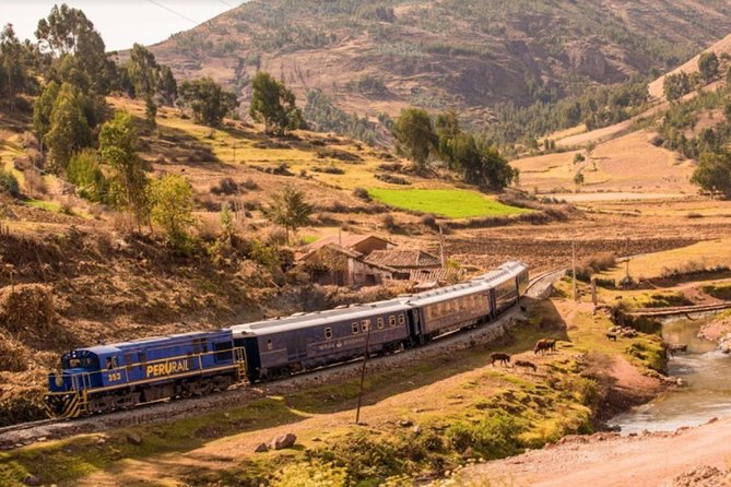 Machu Picchu Tour By Train (2 Days) - Price and logistics: what to watch so day 1 doesn’t rattle you
