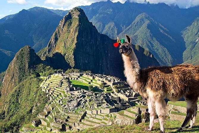 Machu Picchu Tour by Vistadome Panoramic Train from Cusco - A One-Day Machu Picchu Plan That Runs on Time