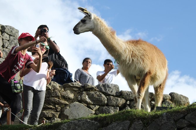 Machu Picchu Tour From Cusco Full Day - Entering Santuario Historico de Machu Picchu with a guide
