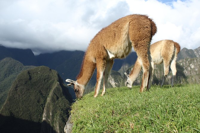 Machu Picchu Tour From Cusco Full Day - Pacing, group size, and the reality of a 12–13 hour day