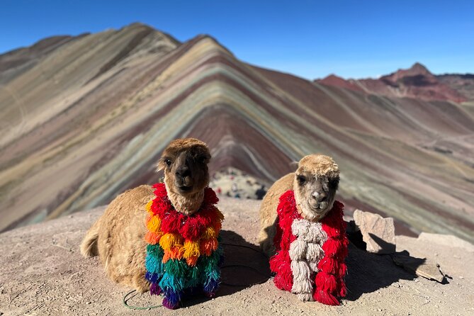 Machupicchu Exclusive Experience - Rainbow Mountain: the high-altitude finish with llamas, alpacas, and lakes