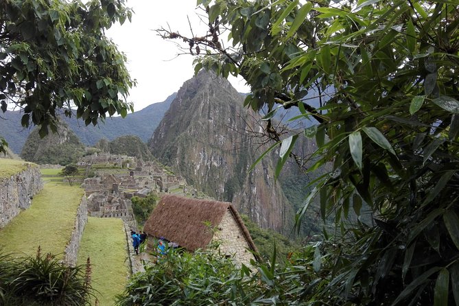Machupicchu Guide Service - Mariposario De Machupicchu: a calm, useful warm-up stop