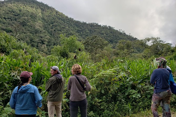 Manu National Park Tour 4days/3night - Food in the jungle: three meals a day, plus what to expect on day one