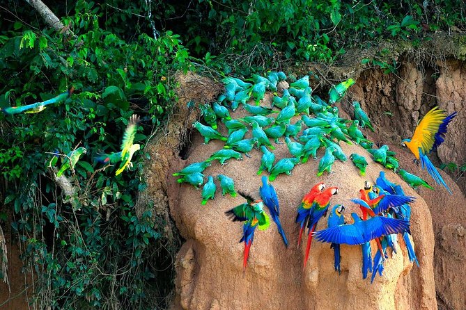 Manu National Park Tour 4days/3night - Price and value around $470: what you’re really paying for