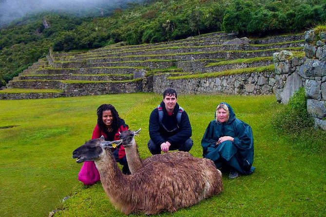 Mystical Journey: 2-Day Private Adventure to Machu Picchu - After Machu Picchu: lunch, train tickets, and the return to Cusco