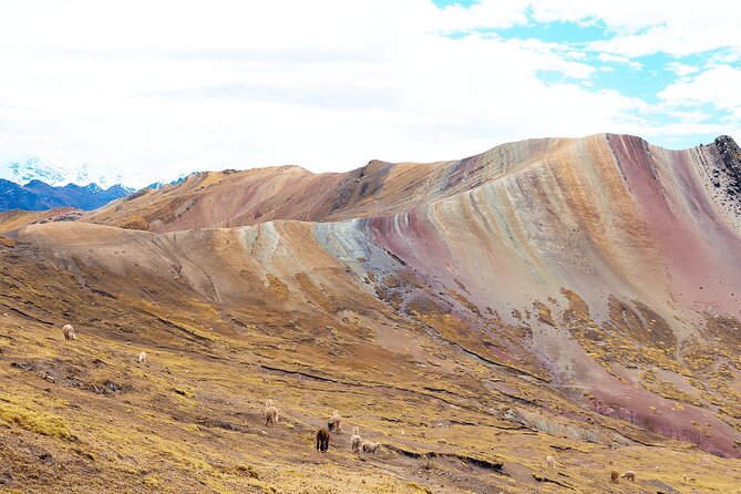 Palccoyo Rainbow Mountain Full Day Tour from Cusco - FAQ