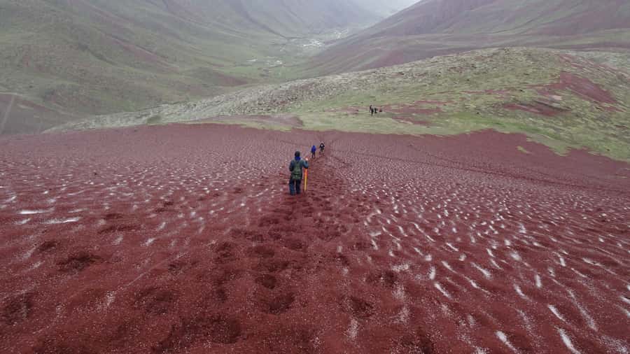 Peru: Rainbow Mountain and Red Valley View Point Tour - Who This Tour Is For (and Who Should Skip It)