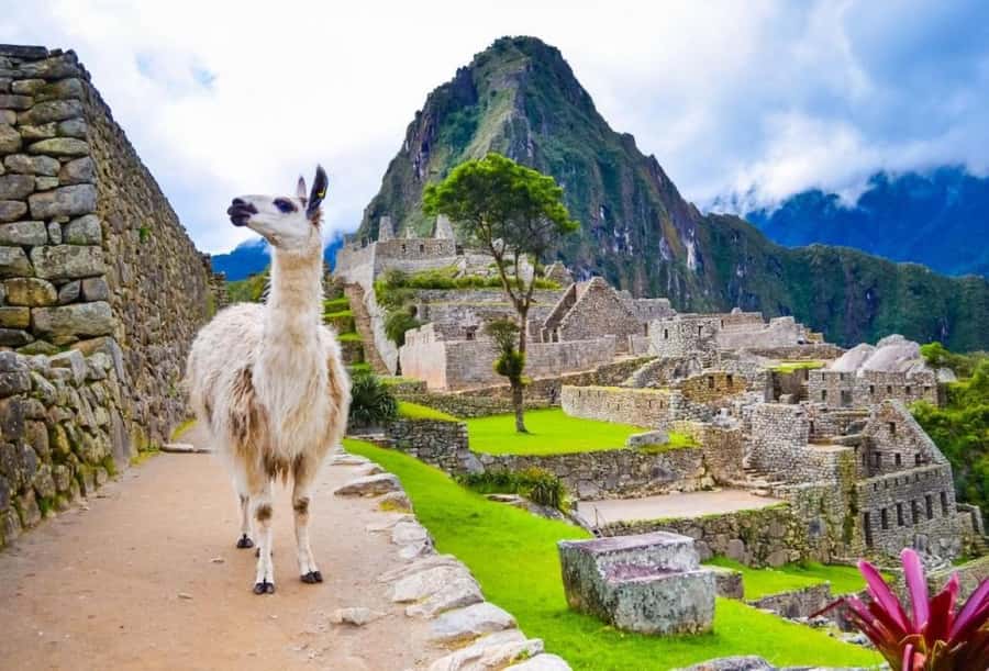 Private Guide in Machu Picchu for 3 Hours - How 3 Hours Feels on Arrival (and how to protect your time)