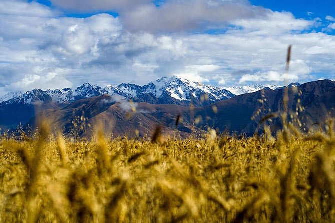 Private Tour: 2-Day Exploration of the Sacred Valley and Machu Picchu - Train Back to Ollantaytambo and the Ride Home to Cusco
