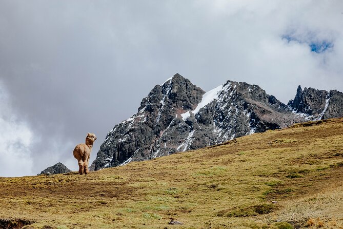 Rainbow Mountain and Red Valley Hike – 2 Days / 1 Night - The reality check: difficulty, weather, and what to bring