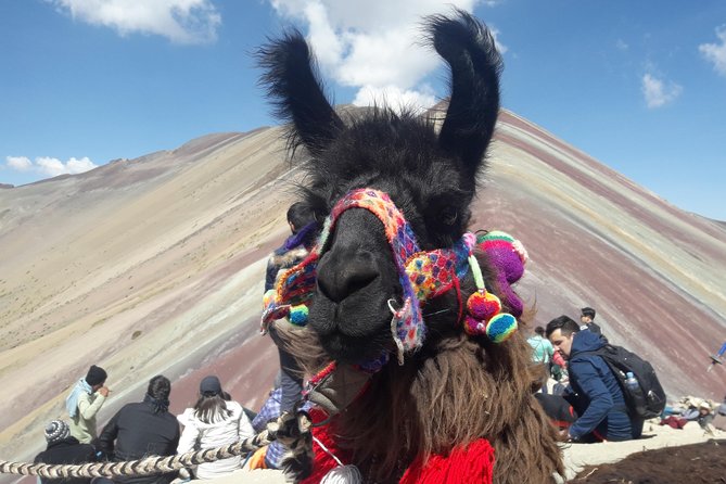 Rainbow Mountain Tour Vinicunca (Full Day) - Altitude safety: oxygen tanks, slow steps, and guide support