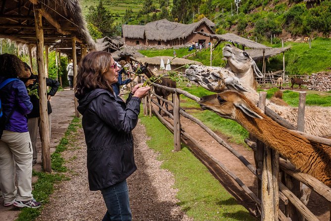 Sacred Valley and Machu Picchu Tour in 2 days with Peru Vip - The train ride to Aguas Calientes: scenic comfort, included snack