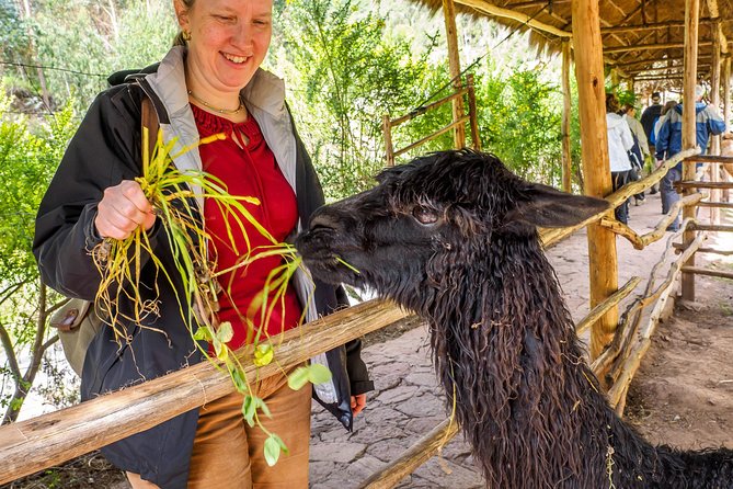 Sacred Valley and Machu Picchu Tour in 2 days with Peru Vip - Day 2: 5:00 am pickup, bus lines, and your Machu Picchu guide