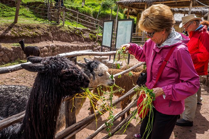 Sacred Valley and Machu Picchu Tour in 2 days with Peru Vip - What you really pay for: the value behind $491.29