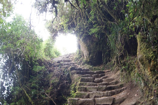 Short Inca trail to MachuPicchu || 2days - 1nigth || - Guides, Group Size, and What the Reviews Reveal