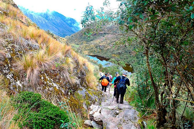 Small Group: 4-Day Inca Trail Trek to Machu Picchu - Day 3 to Wiñayhuayna: cloud forest, ruins, and passes with real payoff