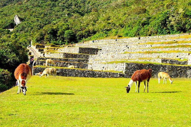 Small Group: 4-Day Inca Trail Trek to Machu Picchu - Day 4 to Machu Picchu: Inti Punku, classic photos, and optional add-ons