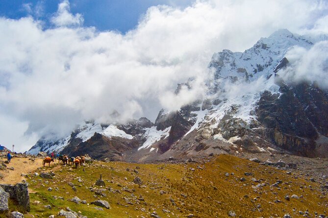 Small Group 5 Days Salkantay and Machu Picchu by Llactapata Tour - Day 2: The Salkantay Pass Grind, Then the Shift Into Warmer Air