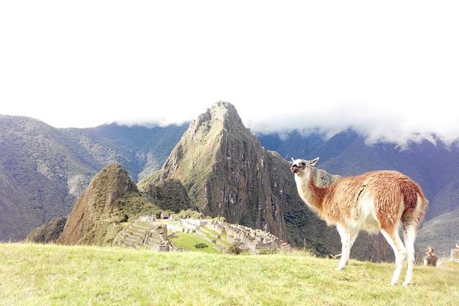 Small-Group Day Tour to Machu Picchu - The Expedition train ride to Aguas Calientes: part scenery, part reset