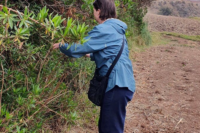 The Textile Workshop Experience in Cusco Region - Who Should Book This Textile Workshop (and Who Might Skip It)