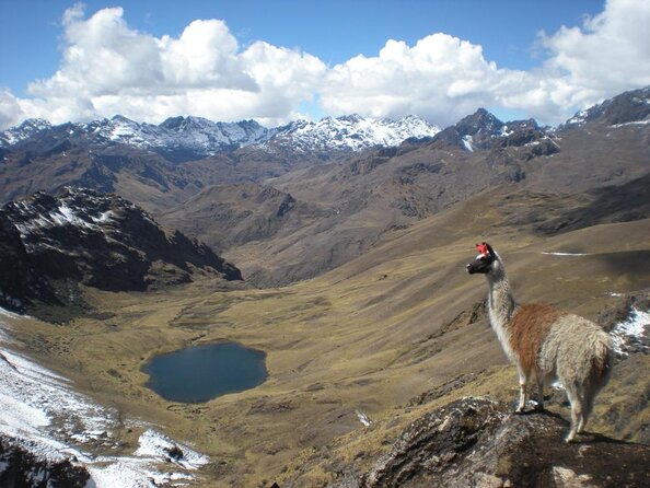 Ultimate Lares Trek & Inca Trail 5 days - Key things to know before you go