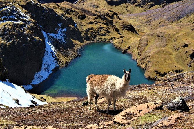 Ultimate Lares Trek & Inca Trail 5 days - Day 5: Early bus, sunrise if clear, then 2 to 3 hours with your guide