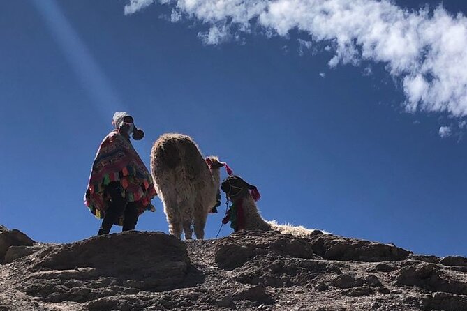 Vinicunca Rainbow Mountain Full-Day Tour from Cusco - What $99 buys you: value in transport, meals, and entry