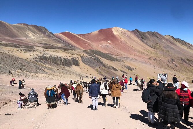 Vinicunca Rainbow Mountain Full-Day Tour from Cusco - Gear for cold altitude: don’t show up underdressed